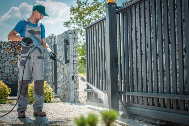 Best Roof Washing  in London, CA