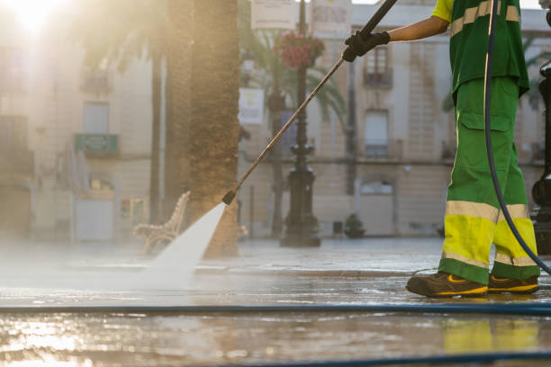 Best Dumpster Area Cleaning  in London, CA